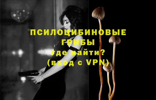 дурь Волоколамск