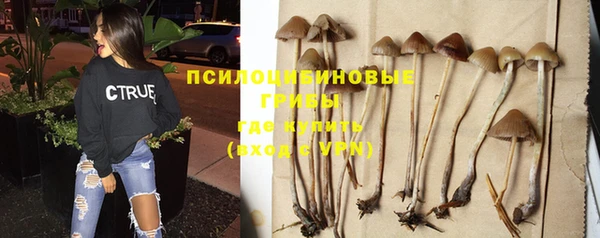 кокаин Верея