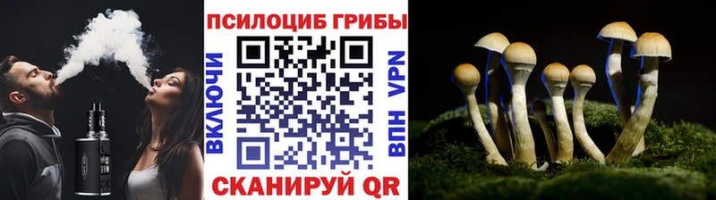 Галлюциногенные грибы мухоморы  Купить  Ярославль 